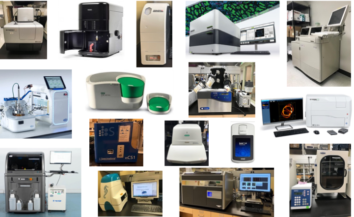 Molecular and cell biology