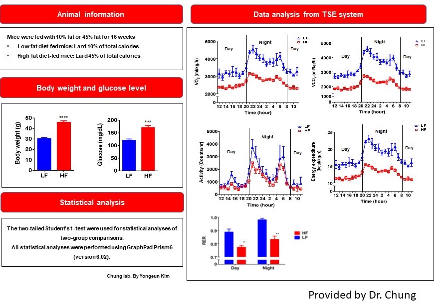 TSE Data Sample