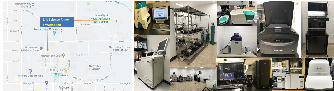 Borc Location and Lab Machines