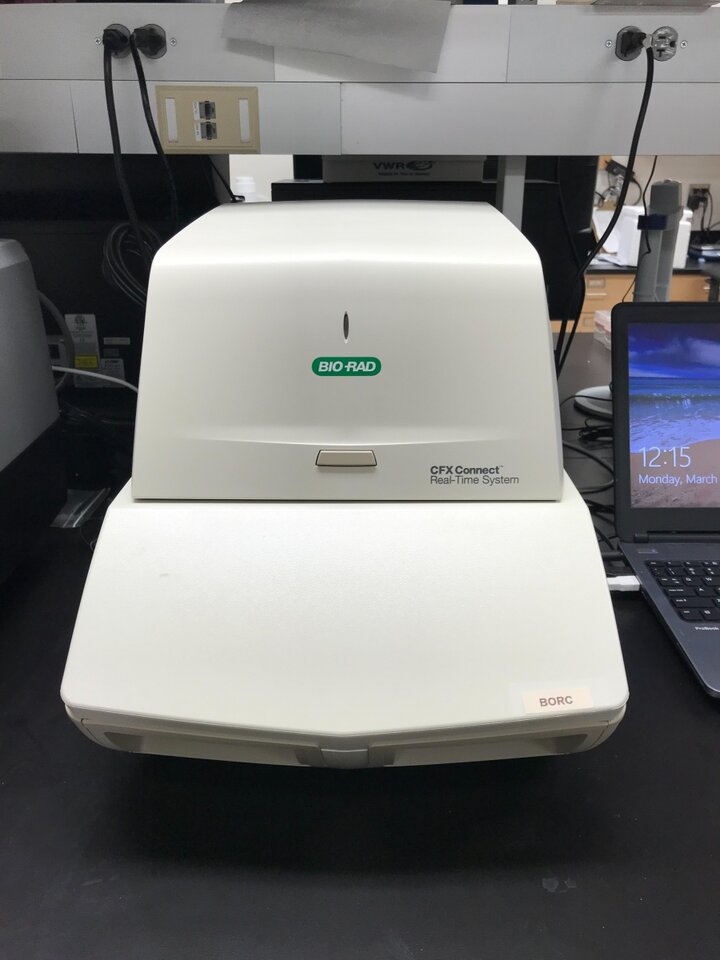 CFX Connect™ Real-Time PCR